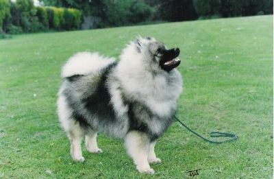Cassie at six months